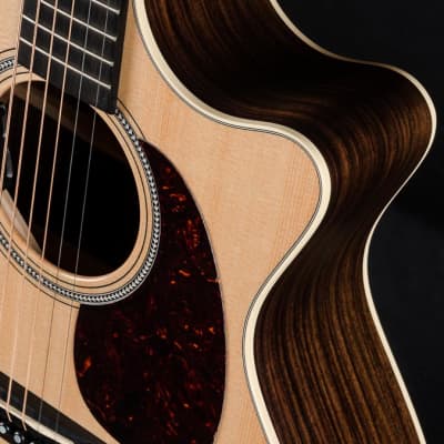 Martin GPC-16E Indian Rosewood and Sitka Spruce NEW image 11