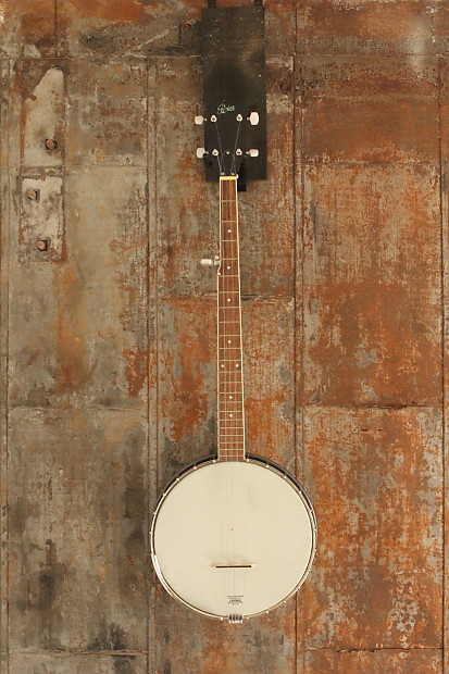 Remo weatherking 5 string banjo hot sale