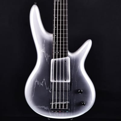 Ibanez Gary Willis 25th-Anniv Signature 5-string Fretless Bass, Silver Wave Burst 9lbs 4.7oz image 6
