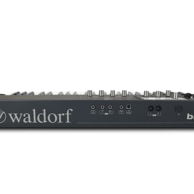 Waldorf Blofeld Keyboard Black image 3