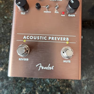 Acoustic Preverb – Fender