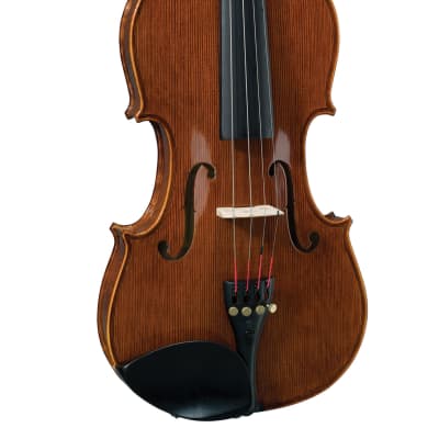 Stentor 4/4 Conservatoire Violin w/ Case, Bow High Quality Student image 3