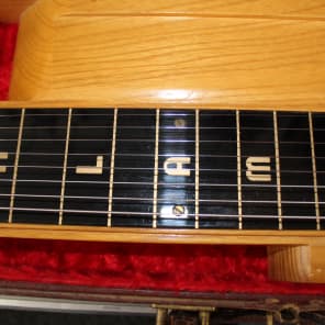 Alamo Double Neck 8-String Steel Guitar image 8