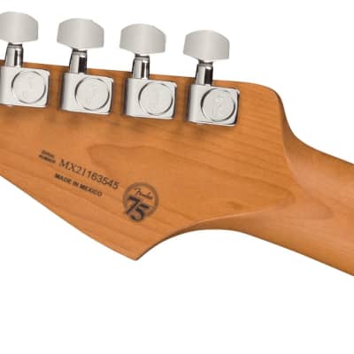 Fender Player LTD Stratocaster Seafoam Green Roasted MN image 6