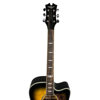 Keith Urban Player Acoustic Guitar (Used) image 3
