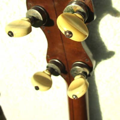 Vega Professional Banjo, 1924, Vegaphone Tone Ring, 19 Frets, Resonator, Case image 20