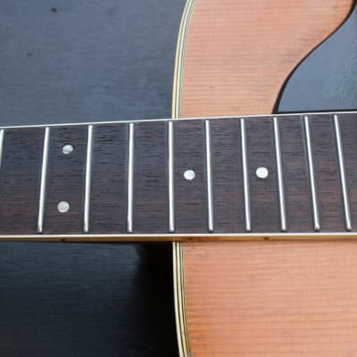 Takamine Elite TW-40 Brazilian Rosewood Dreadnought Size