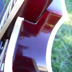 Info about Vintage '80s Burny ES 335 models help (pics
