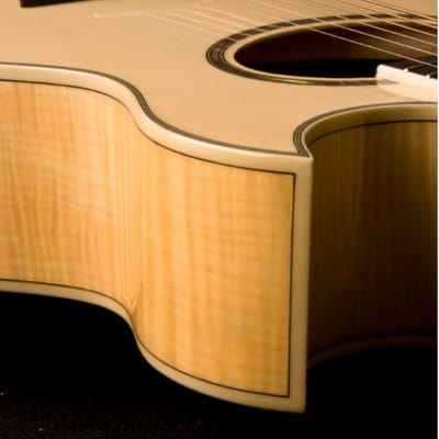 Washburn EA20 Festival Series Cutaway Acoustic Electric Guitar. Natural Item ID: EA20-A-U image 4