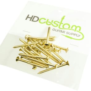 HDCustom HDSP025G-24 Phillips Head Neck Mounting Screws (24-Pack)