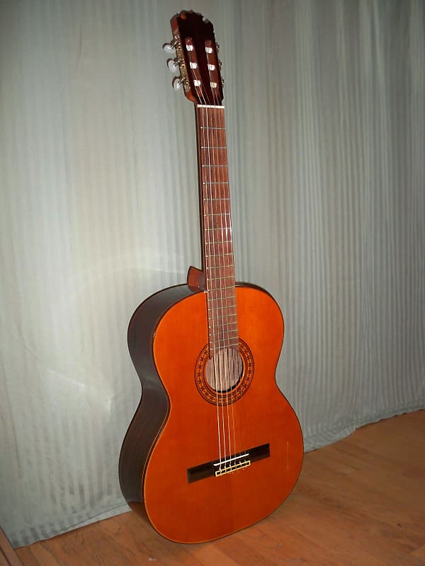Fernandes Classical Guitar | Reverb