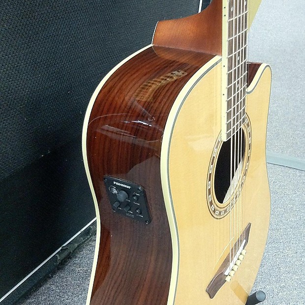 Washburn Wd20sce Acoustic Guitar