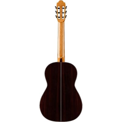 Cordoba Master Series - Torres - Solid Spruce Top - Solid Indian Rosewood B/S - Made in USA image 2