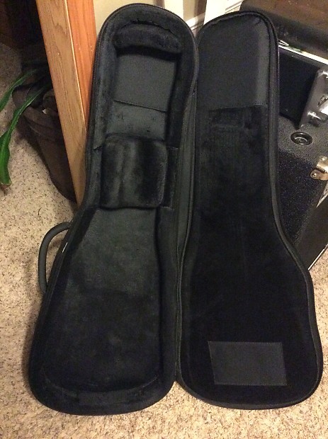 Carvin guitar case hotsell