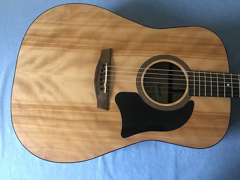 Garrison G10 Acoustic Guitar Reverb