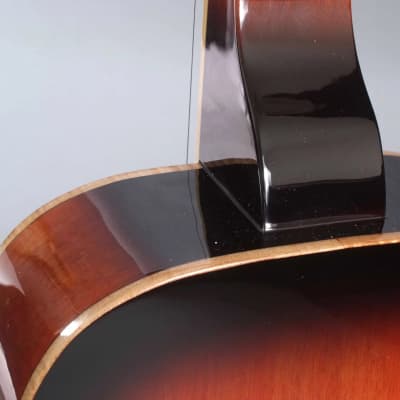 Gold Tone PBS-M Paul Beard Signature Series Solid Mahogany Square Neck Resonator Guitar w/Hard Case image 9