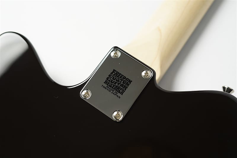 FREEDOM CUSTOM GUITAR RESEARCH Shaker L.W.Ash2P/R Black