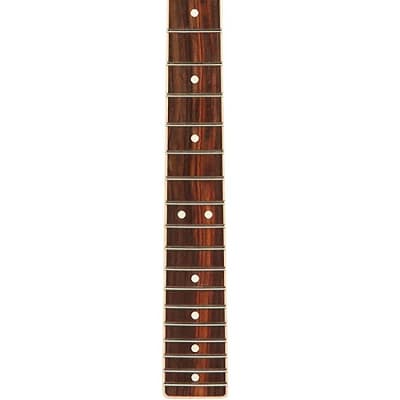 Fender USA American Channel-Bound Telecaster/Tele Neck, Rosewood Fingerboard image 1