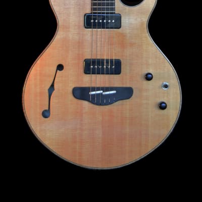 Bright Guitars Hollow Grizzly image 4