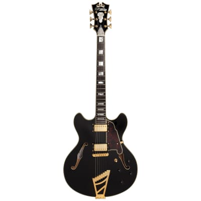 D'Angelico Excel EX-DC Semi-Hollow with Stairstep Tailpiece