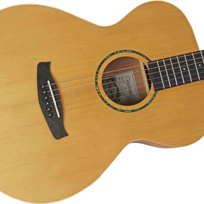 Tanglewood TWR20 Roadster Folk Acoustic Guitar image 6