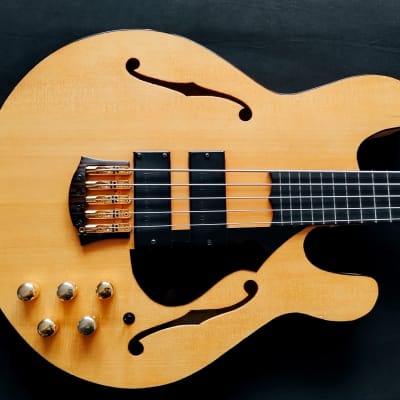 Alembic The Spyder Explorer 8-String Bass John Entwistle 2003