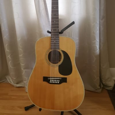 Fender f55 on sale 12 string