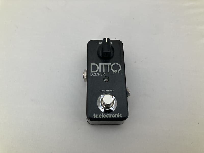 TC Electronic DITTO LOOPER