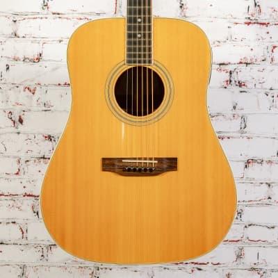 Aria - W 300 - Lefty Dreadnought Acoustic Guitar - w/Anthem Preamp and OHSC - x0054 - USED for sale