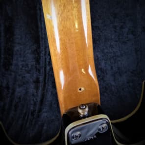 Norma Barney Kessel Split Pickup Walnut Vintage Guitar image 6
