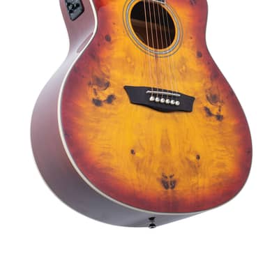 Washburn DFBACEA | Deep Forest Burl Grand Auditorium Ac / El Guitar, Amber Fade. New with Full Warranty! image 3