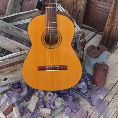 Conn C10 1970s 1974 - Gloss natural classical acoustic nylon folk guitar for sale