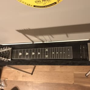 Carter Starter 10 String Pedal Steel Guitar with Case | Reverb