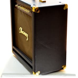 ✦Ibanez エレアコ用 トランジスタアンプ TROUBADOUR TA25✦ Ibanez Troubadour TA25 25W Acoustic Guitar Amp with Mic