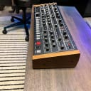 Dave Smith Instruments Sequential Circuits Prophet-6 Polyphonic Analog Synthesizer Desktop Module