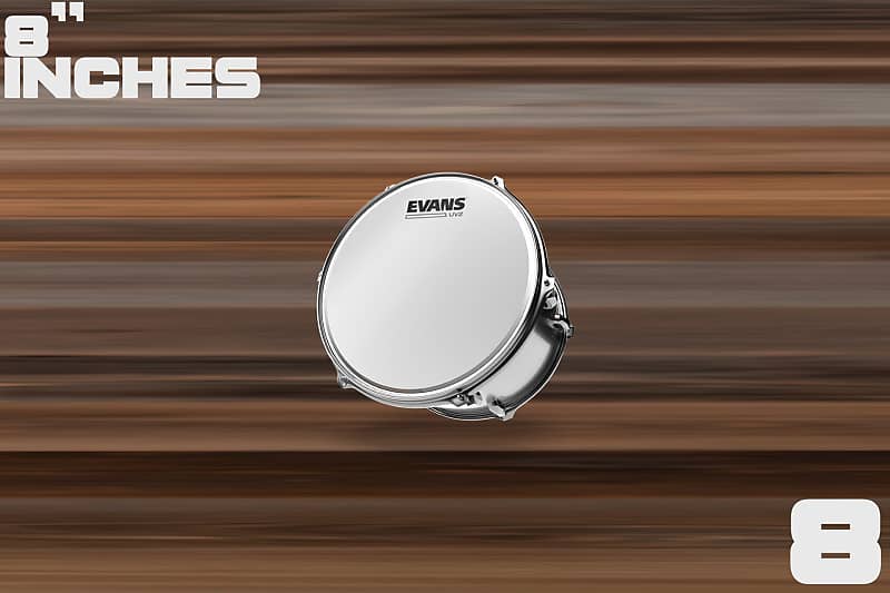 Evans uv2 on sale snare head