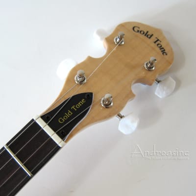 Gold Tone 5-String Mini Open Back Banjo w/ Gig Bag image 5