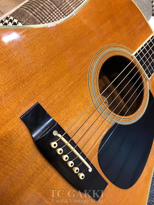 Takamine PT 06E