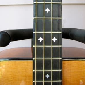 Breedlove Tenor Guitar image 6