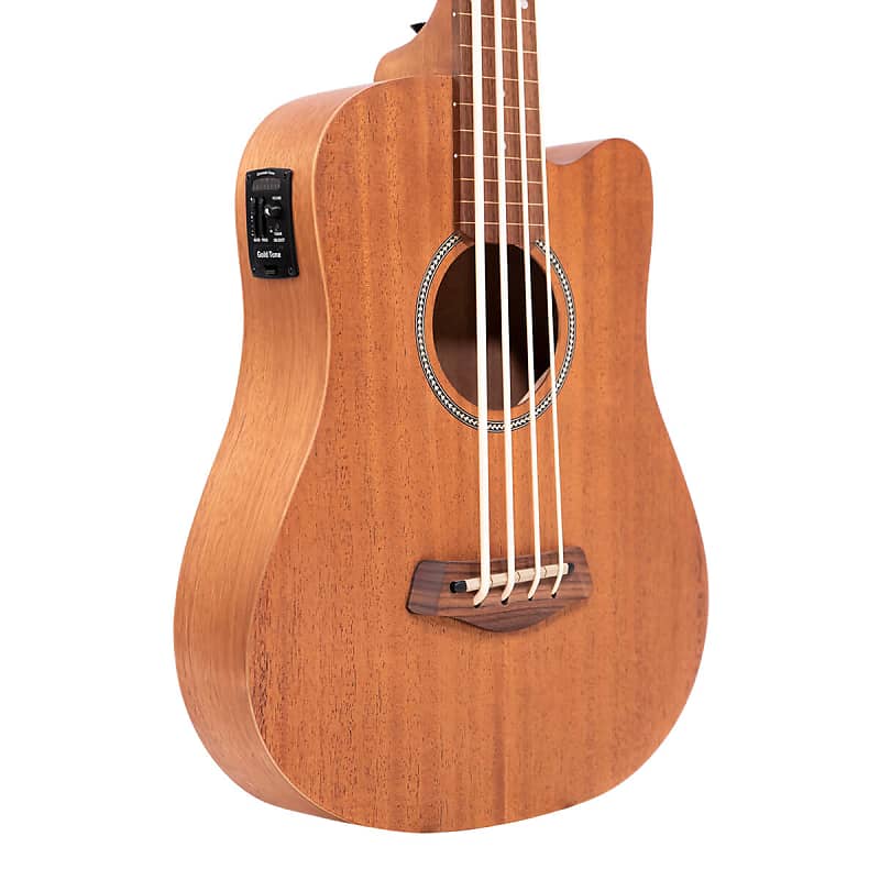 Gold Tone M-Bass/FL Micro 23