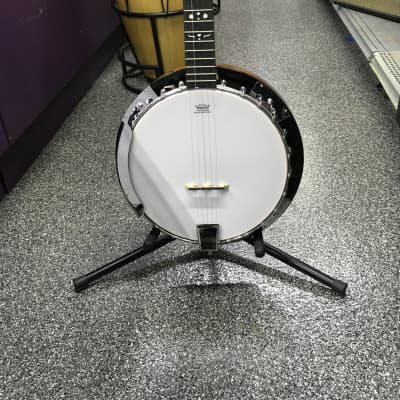 Danville BJ-24 5-String Banjo image 2