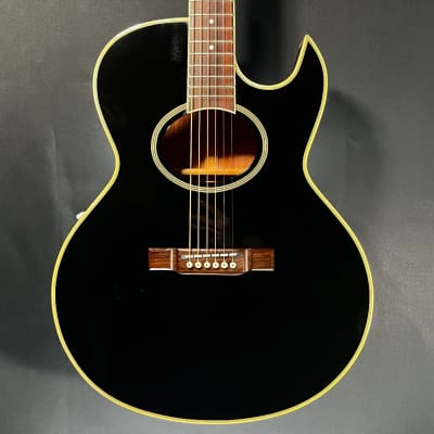 邦楽 The Face in Acoustic Dressed in Black LAD MUSICIAN / RAYON TWILL FRONT ZIP SHIRT / BLACK - LAD