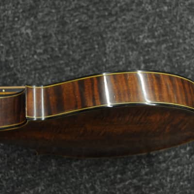 Washburn/Lyon & Healy 2218 1920s 2 Point Style Mandolin image 10
