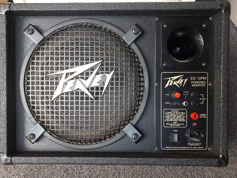 Peavey hot sale wedge monitor