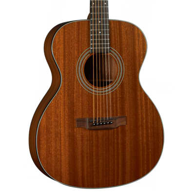 Bristol BM-15 Acoustic Guitar for sale