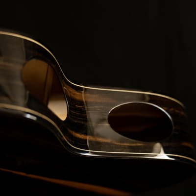 Skytop "Dark Side of the Moon" Acoustic Guitar image 3