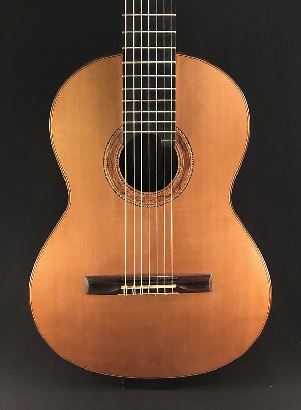 Richard Prenkert 7-String Guitar #401 2019 image 1