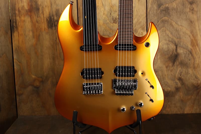 Vigier bumblefoot deals double neck