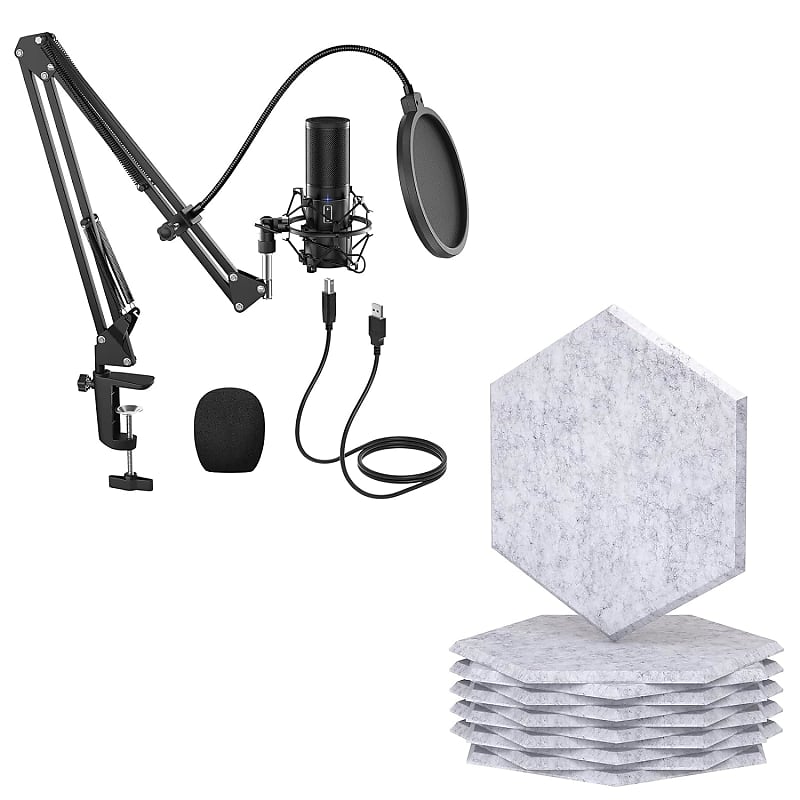 Professional Studio Broadcasting & Recording Microphone Set Reverb