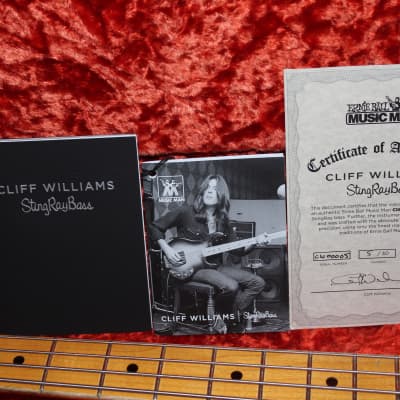 Ernie Ball Music Man Custom Shop Bass Stingray AC/DC Cliff Williams Limited Edition 2020 Back in Burst image 13